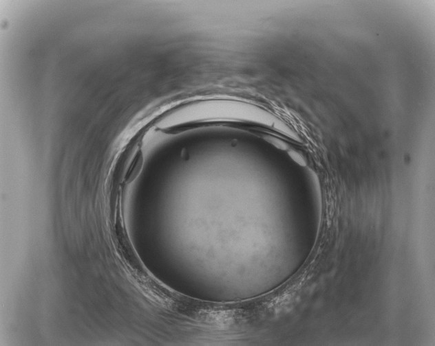 X0000087550295200705041335