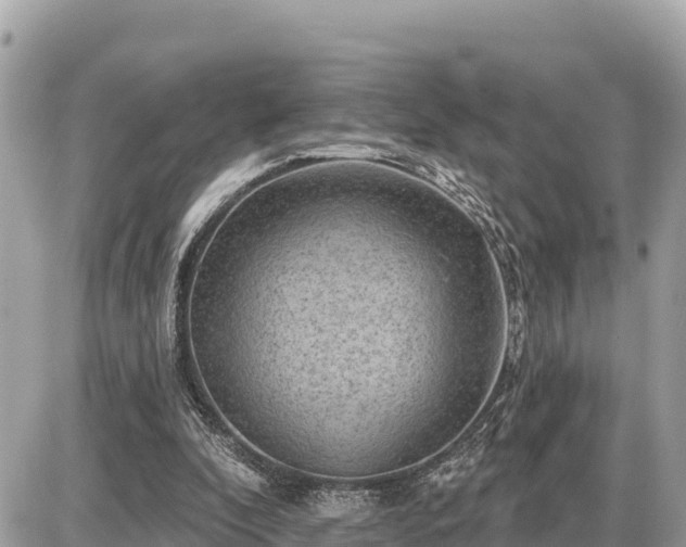 X0000087550296200705041335