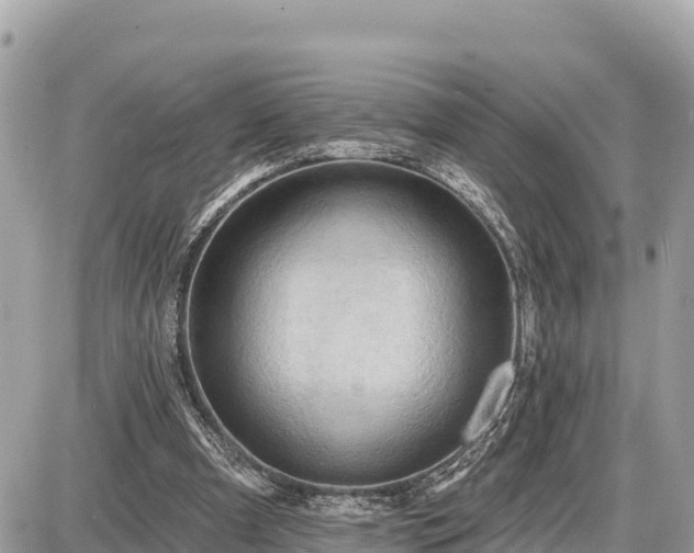 X0000087550297200705041335