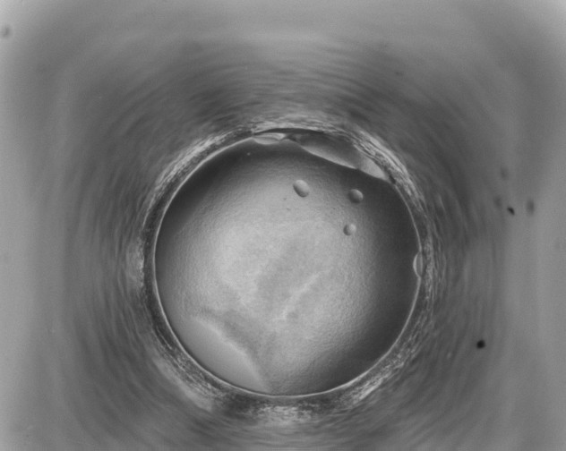 X0000087550298200705041335