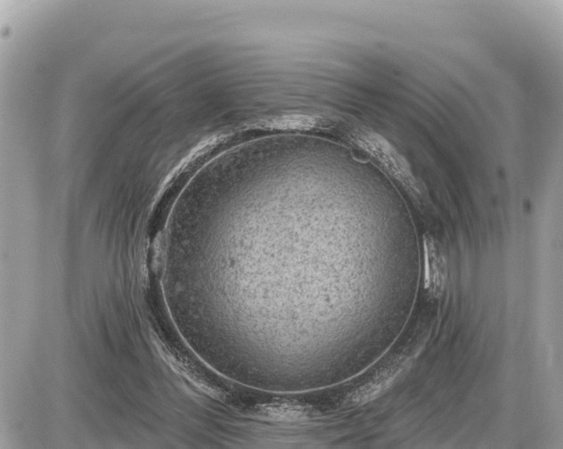 X0000087550300200705041335