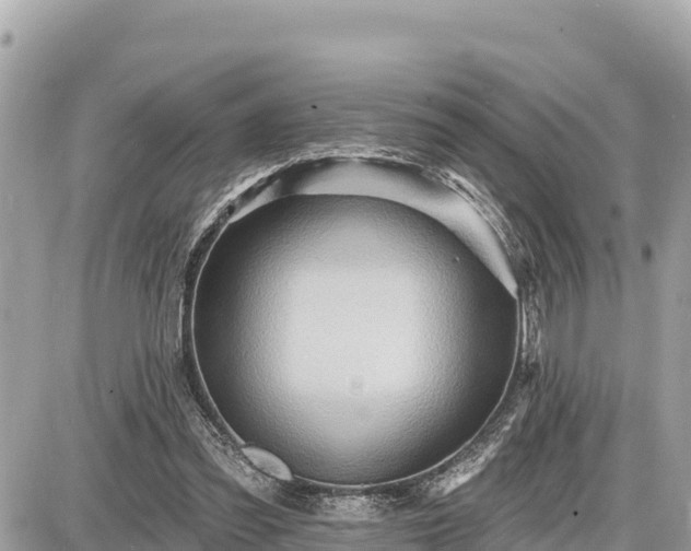 X0000087550301200705041335