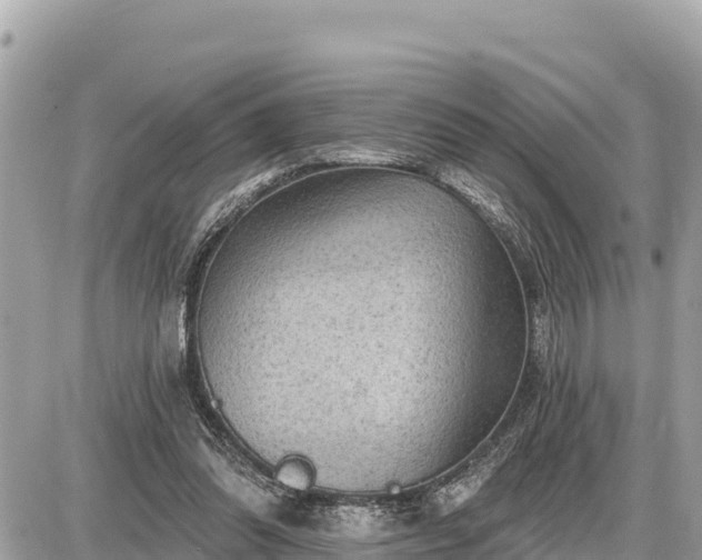 X0000087550302200705041335