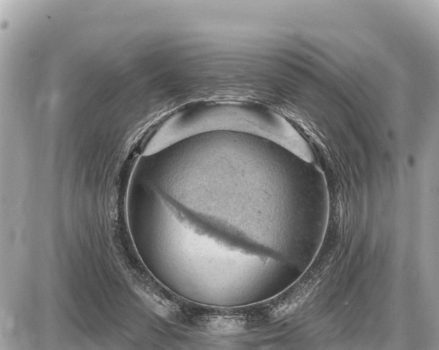 X0000087550303200705041335