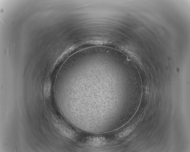 X0000087550304200705041334