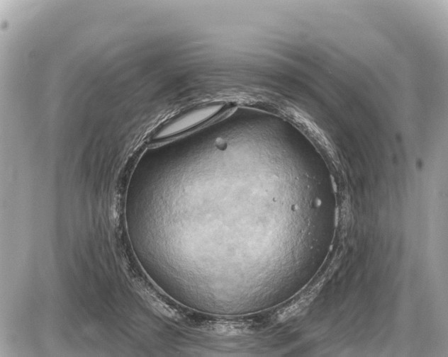 X0000087550305200705041334