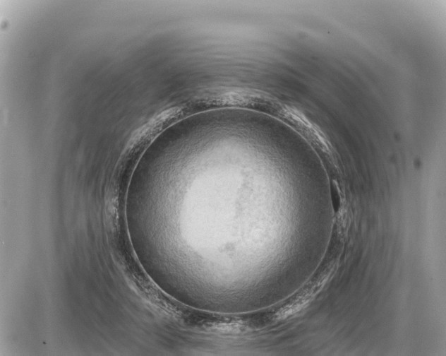 X0000087550306200705041334