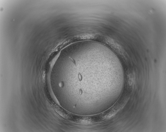 X0000087550308200705041334