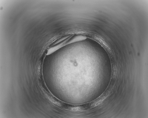 X0000087550309200705041334