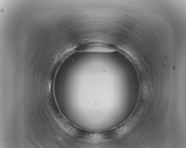 X0000087550310200705041334