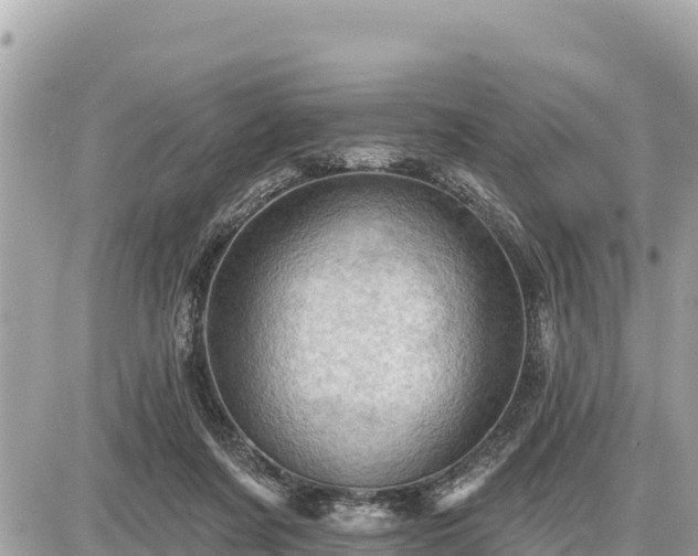 X0000087550311200705041334