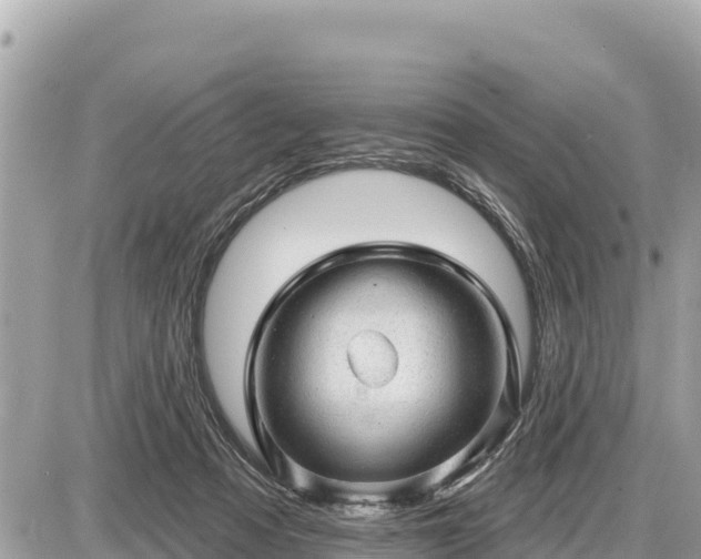 X0000087550313200705041334