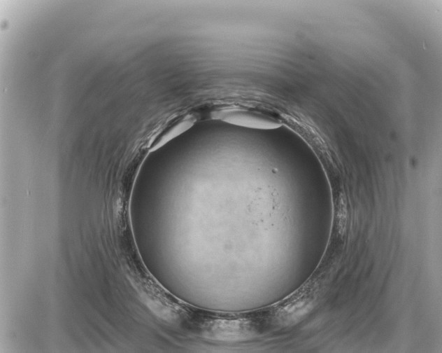 X0000087550314200705041334