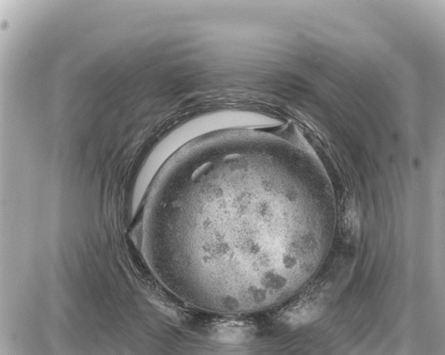 X0000087550315200705041334