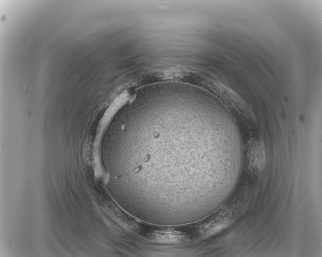 X0000087550316200705041334