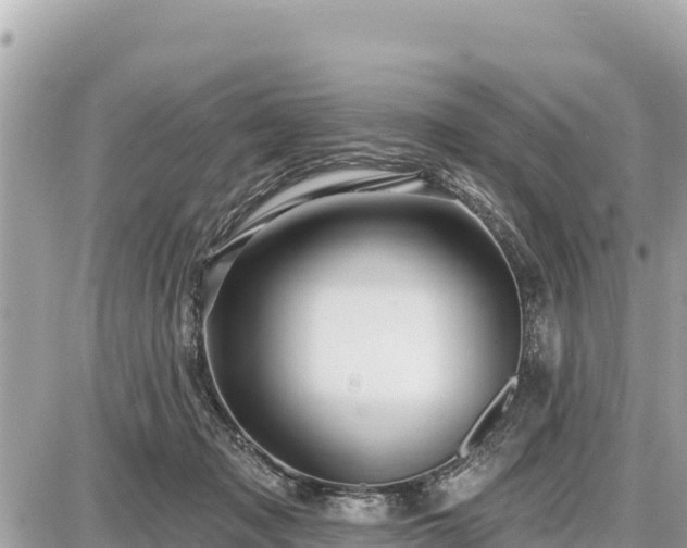 X0000087550317200705041334