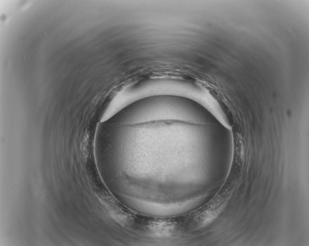 X0000087550319200705041334