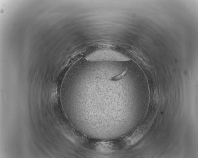 X0000087550320200705041334