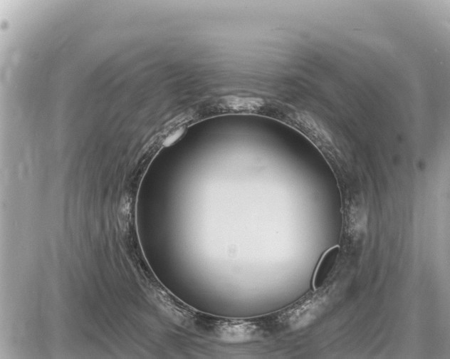 X0000087550321200705041334