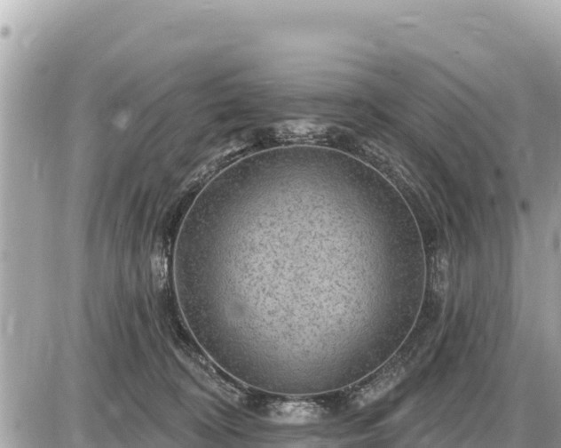 X0000087550324200705041334