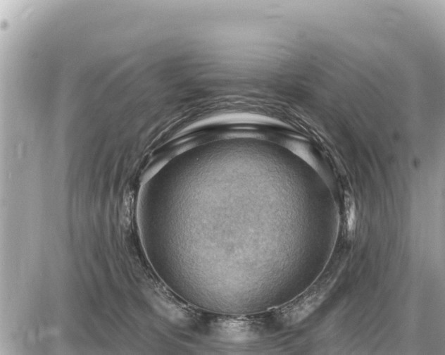 X0000087550325200705041334