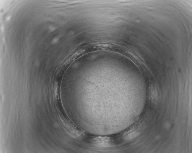 X0000087550328200705041334