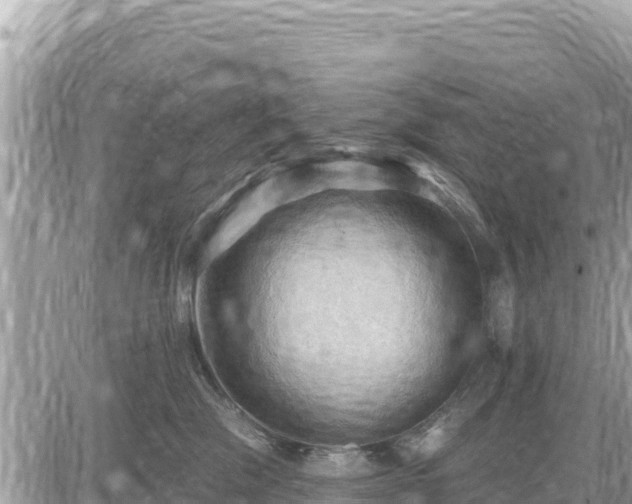 X0000087550329200705041334