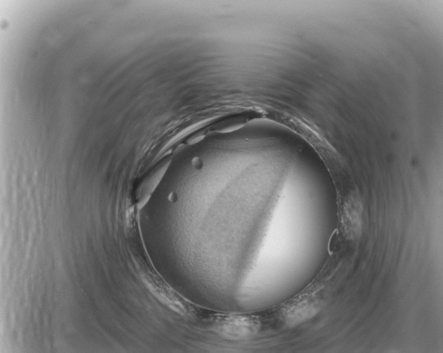 X0000087550330200705041334