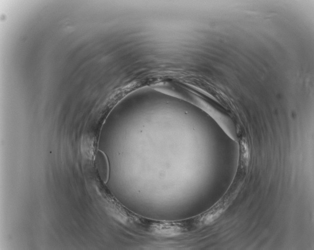 X0000087550331200705041334