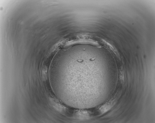 X0000087550332200705041334