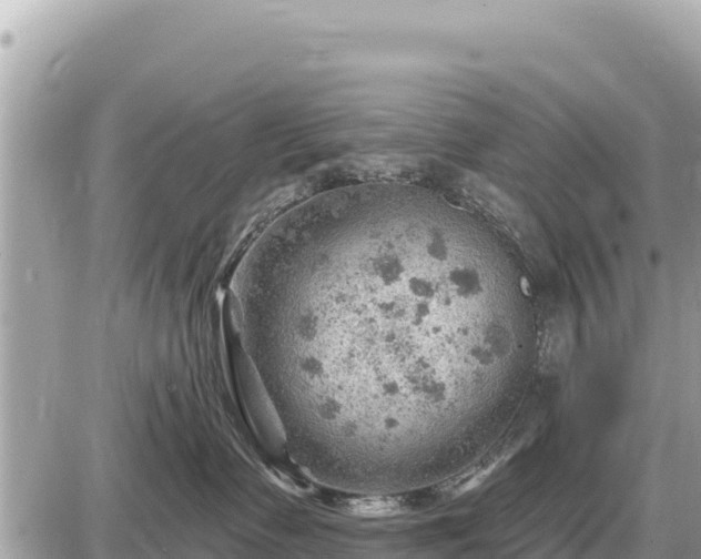 X0000087550335200705041334