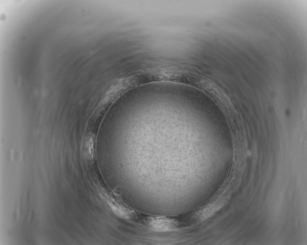 X0000087550336200705041334