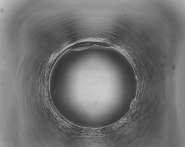 X0000087550337200705041333