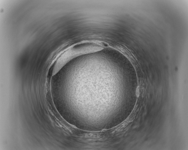 X0000087550338200705041333