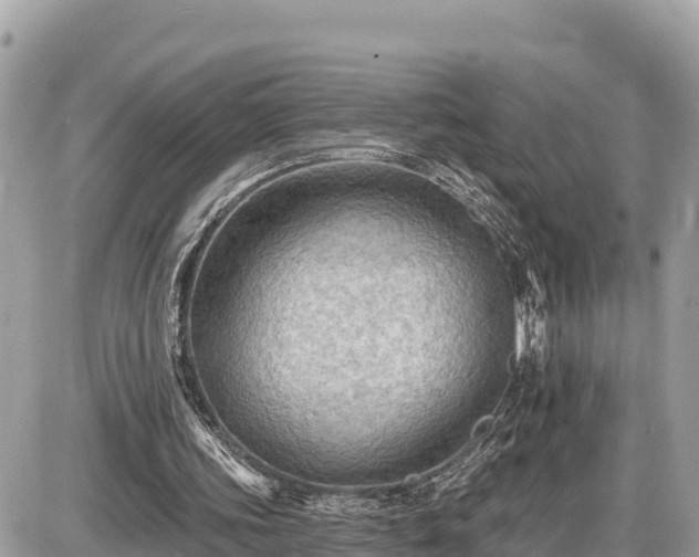 X0000087550339200705041333