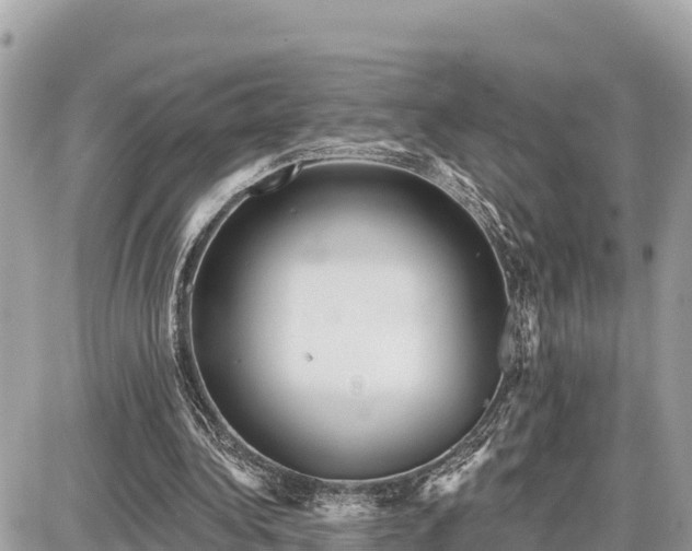 X0000087550340200705041333