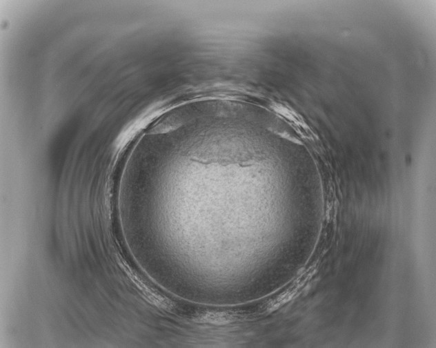 X0000087550341200705041333