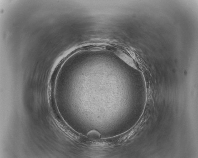 X0000087550342200705041333