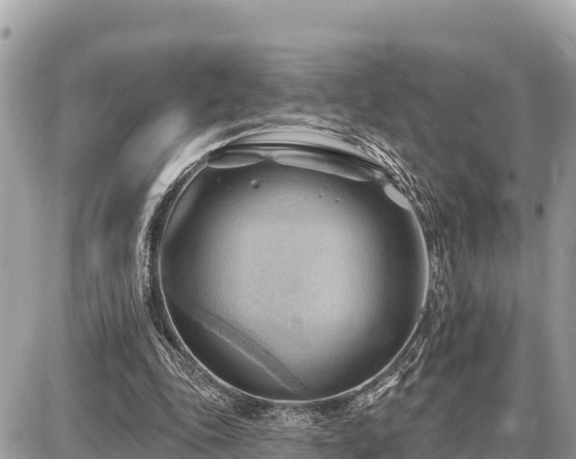 X0000087550343200705041333