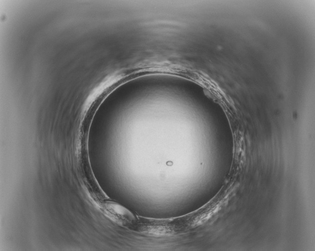 X0000087550344200705041333