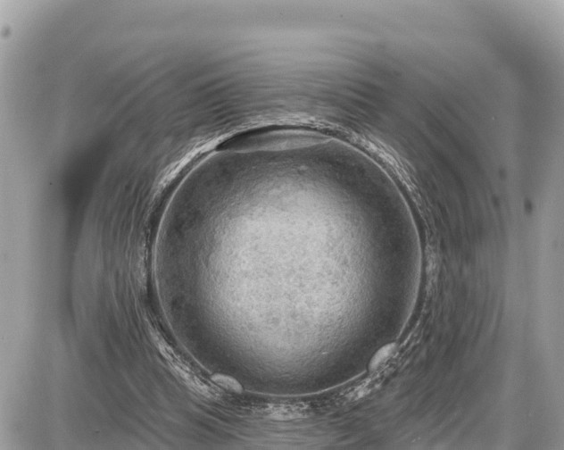 X0000087550345200705041333