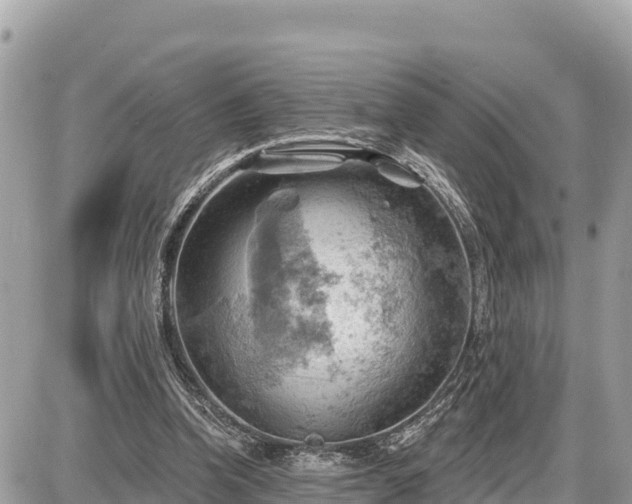 X0000087550346200705041333