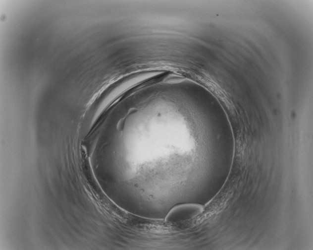 X0000087550347200705041333