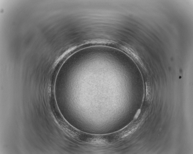 X0000087550348200705041333