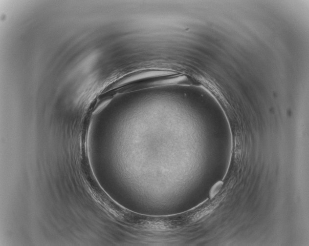 X0000087550349200705041333