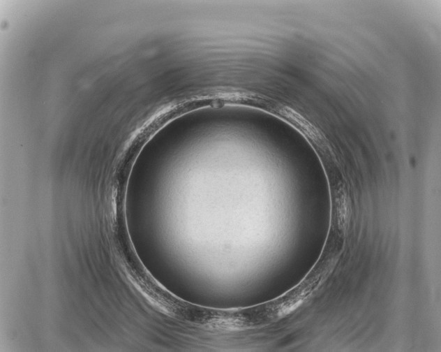 X0000087550350200705041333