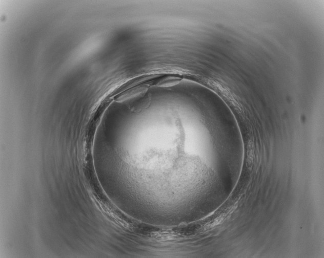 X0000087550351200705041333