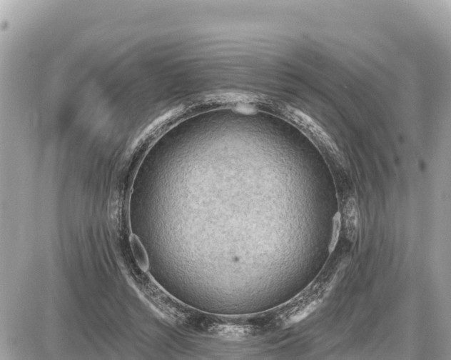 X0000087550352200705041333