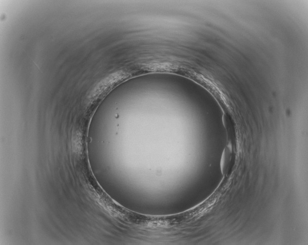 X0000087550353200705041333