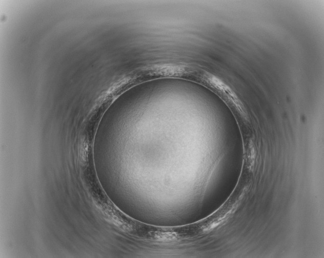 X0000087550355200705041333